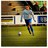LucVijfeijken's profile image