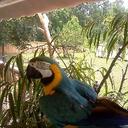 carol nicholson - @carol_kiss7 - Twitter