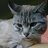 moisesyblanca34's profile image