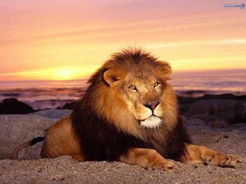 Aaronwhatsup's profile picture. I share music in all of it's forms.                                               (the truth is vital to our cause)