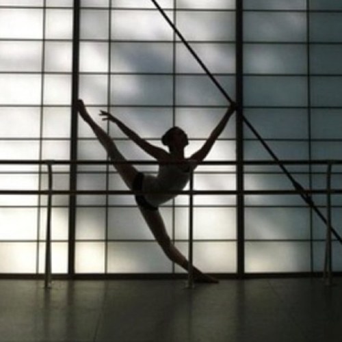 dancesnobtweets Profile Picture