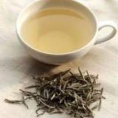 Necessitea's profile picture. Educating Americans about the benefits of Tea