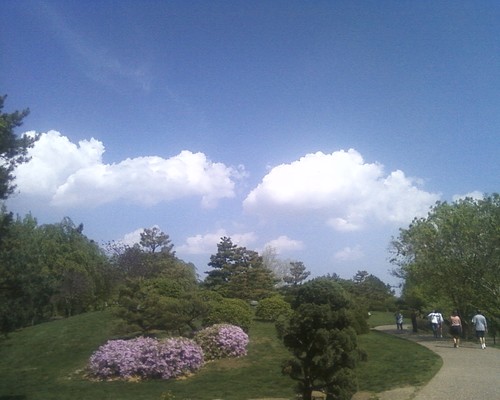 stlmoweather's profile picture. 