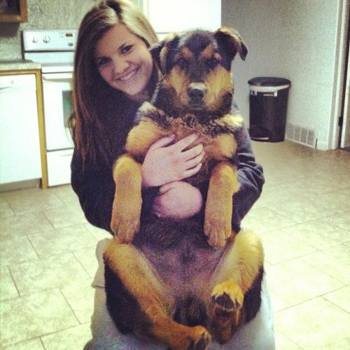 Tara Poulson Profile