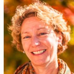 Asheville City Councilwoman. Working towards a healthy, vibrant and safe community.