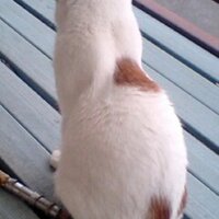 アーノルド先生 (@arnold_fti) 's Twitter Profile