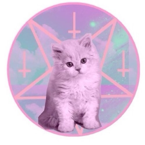 follow @diamoniall