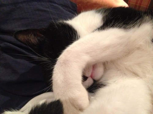 Edemtom's profile picture. 