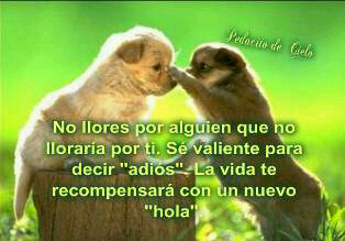 Poemas Romanticos Liricapoetica Twitter