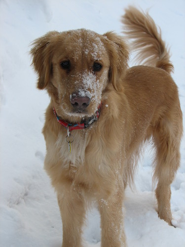 FrankStama's profile picture. 