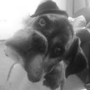 darren harman - @djhaitch - Twitter