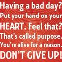 Sandy Norman - @SandyAm28 - Twitter