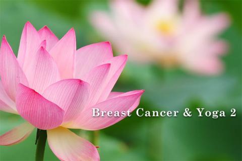 Miho_Starry's profile picture. LiSA｜きゃりーぱみゅぱみゅ｜NiziU
SUPER  EIGHT｜［Alexandros］
Dean Fujiokaﾃﾞｨｰﾝﾌｼﾞｵｶ｜