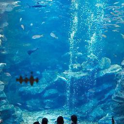 melcasayuco's profile picture. 