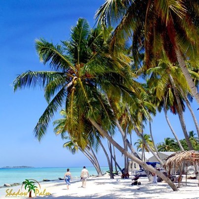 An individual person who promote Maldives tourism industry | Beautiful Maldives