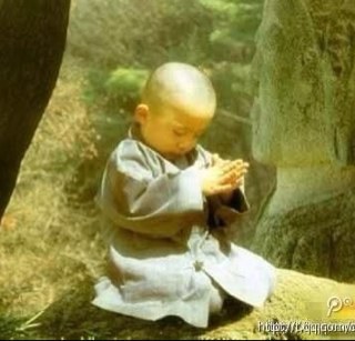 rola_mot's profile picture. 