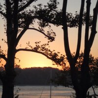Donna M.chiera (@dchieram) Twitter profile photo
