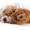 Laurie Kern - @KernLaurie - Twitter