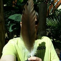 Marty Carpenter® (@martintesar) 's Twitter Profile