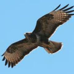 KingsleyLewis1's profile picture. 