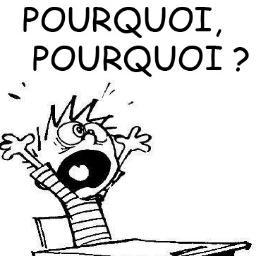 Pourquoi la vie ? Pourquoi ci ? Pourquoi ça ? POURQUOI ?!