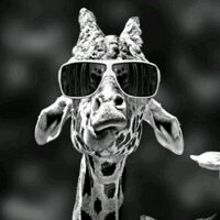 Camelopardalis (@g_r_ff_) 's Twitter Profile
