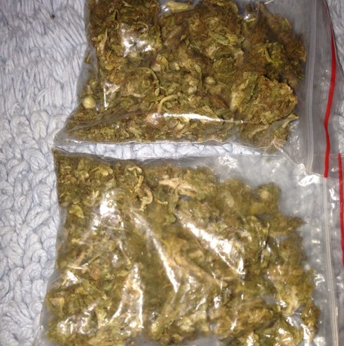 Serio_stash's profile picture. Still blazin'