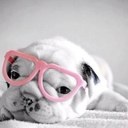 Pam Westfall - @SwestfallPam - Twitter