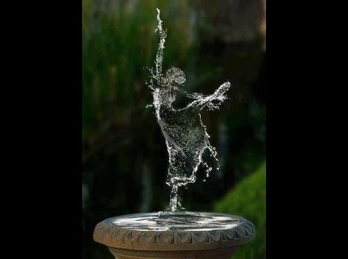 evar50's profile picture. (^_-)