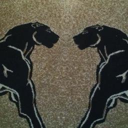 billyarthur65's profile picture. 