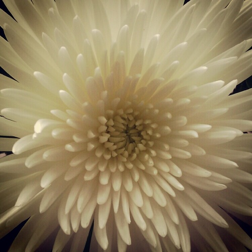 misslaurakj's profile picture. 