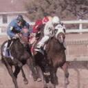 Stacey Meyer - @ponyxpresss - Twitter