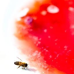 Pisquero, pisquero y pisquero!  Narrador de historias liquidas.
Una vida bien vivida y bebida con vigas de infraestructura y trazas de producción académica.