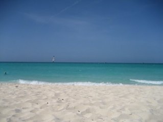 sharonsteward2's profile picture. Primary School Teacher 

Senior Leader