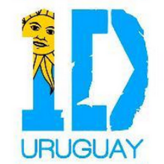Fan Club Oficial de One Direction Uruguay | Gracias por seguirnos | One Direction pisa suelo Uruguayo el 6.5.214