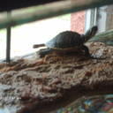 Stacey Houck - @HouckStacey - Twitter