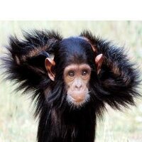 tickermonkey (@tickermonkey) 's Twitter Profile