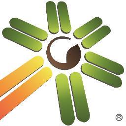 GrupoPSA's profile picture. 