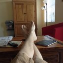 John Barten - @nhojnetrab - Twitter