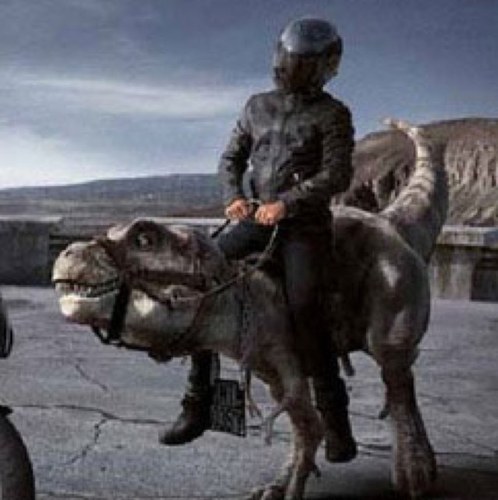 GMedlien's profile picture. 