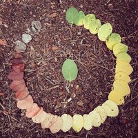 Las Tres Puertas (@lastrespuertas) 's Twitter Profile