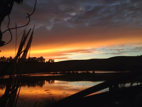 L_Slee's profile picture. 