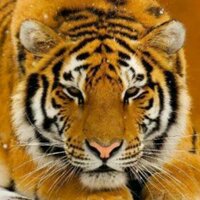 Nathan J Ramirez (@nathanramirezj) 's Twitter Profile