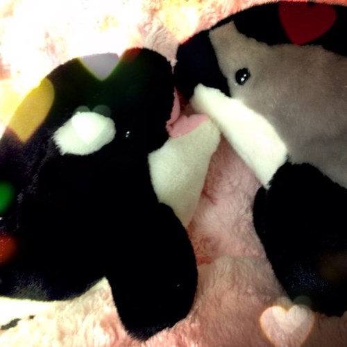 ruuu_iggc's profile picture. 、