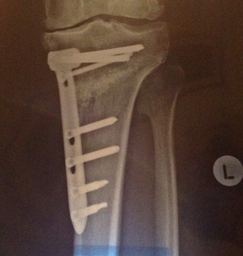 gregryan70's profile picture. Love life, rugby & family, but not in that order. Oh and I'm a plus size model to boot.