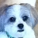 Ron Tharp - @tharp2_r - Twitter