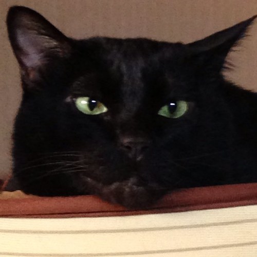 mickey0924hero's profile picture. 令和7年（2025年）9月1日、色々とリニューアル復活‼︎ 競馬、猫、映画、音楽、酒、読書、旅…よろしくお願いします！山口県下関市と兵庫県加古川市のWです😊#天安門 #台灣加油