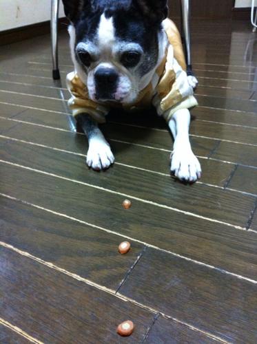 Superflysan's profile picture. CSOプレイヤーSuperRly(ピーチ押尾)でございます。
気軽にフォローにしてください！
皆仲良くしてねん♪