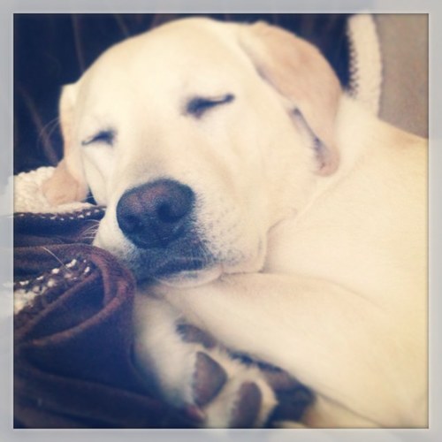 barreller123's profile picture. 