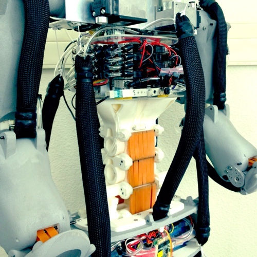 東京農工大院卒。LOVE apple, sony, pneumatic robots, amine (Eva etc.), tennis (Lleyton Hewitt)